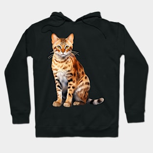 Cheetoh Cat Hoodie